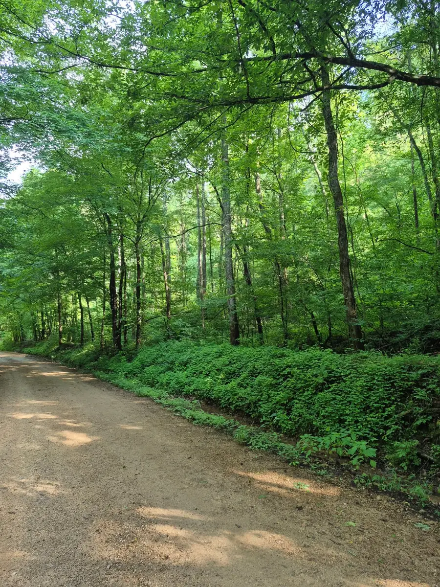 0 Co Rd 462, Lexington, AL 35648 - #3