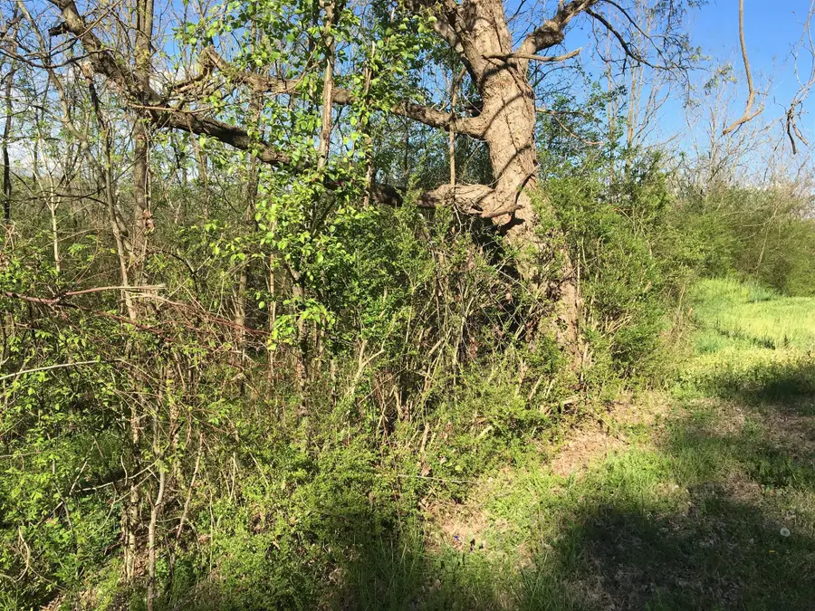 0 Main Street W, Hartsville, TN 37074 - #3