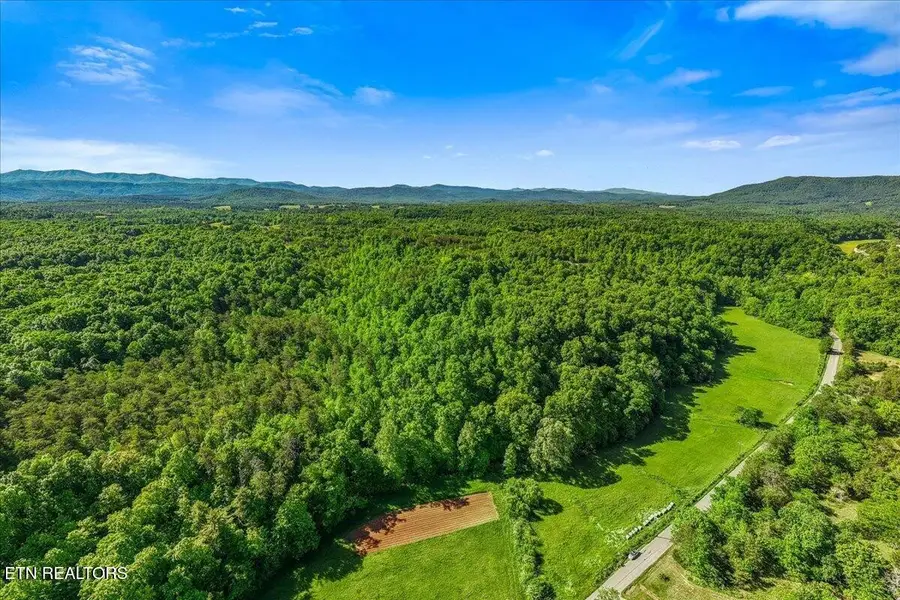 0 Shadden Road, Tellico Plains, TN 37385 - #3