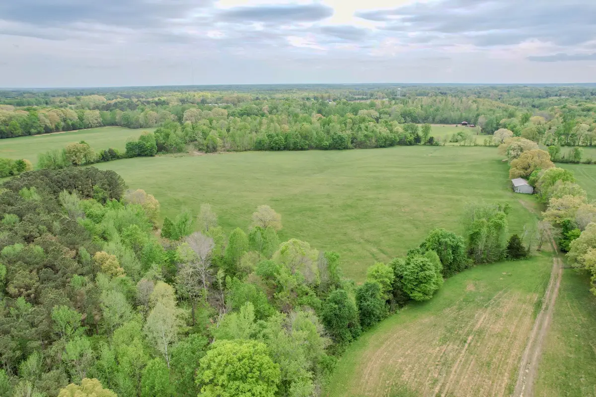 0 Puncheon Branch, Minor Hill, TN 38473 - #1