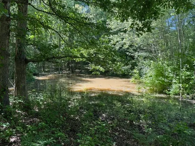 0 Wildwood Rd, McMinnville, TN 37110 - #3