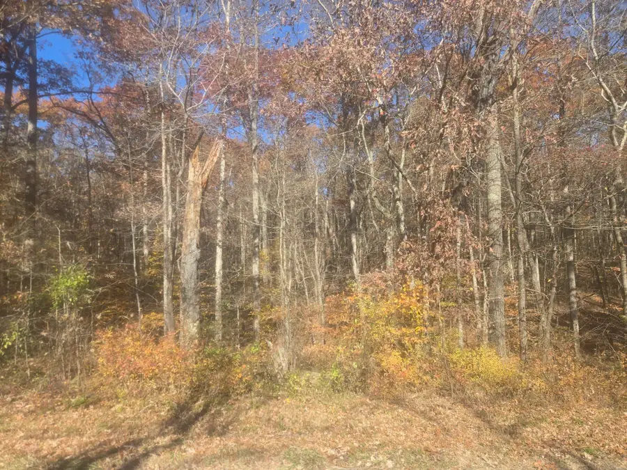 0 Waterloo Road, Westpoint, TN 38486 - #3