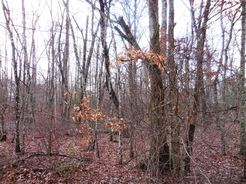 1143 Natchez Trace, Crossville, TN 38572 - #1