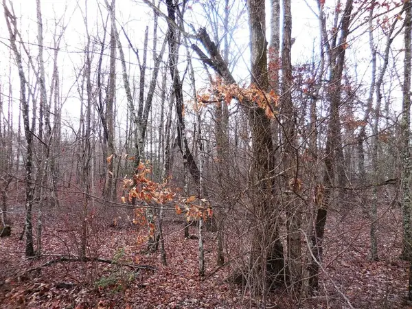 1143 Natchez Trace, Crossville, TN 38572