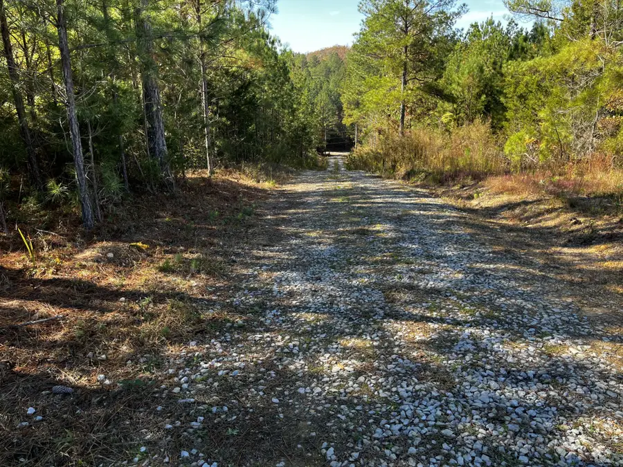 1693 Liggett Road, Decatur, TN 37322 - #2