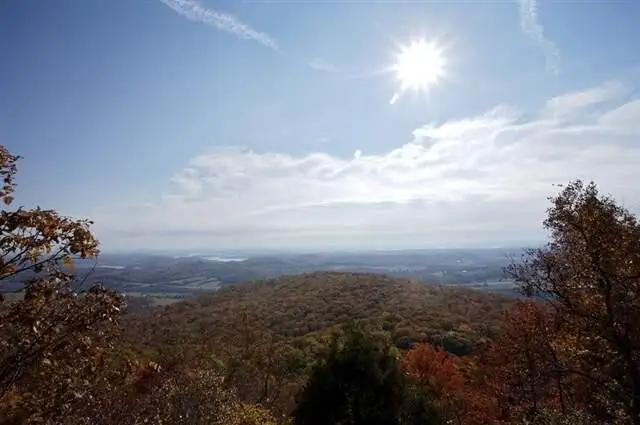 1180 Black Bear Trail, Evensville, TN 37332 - #1