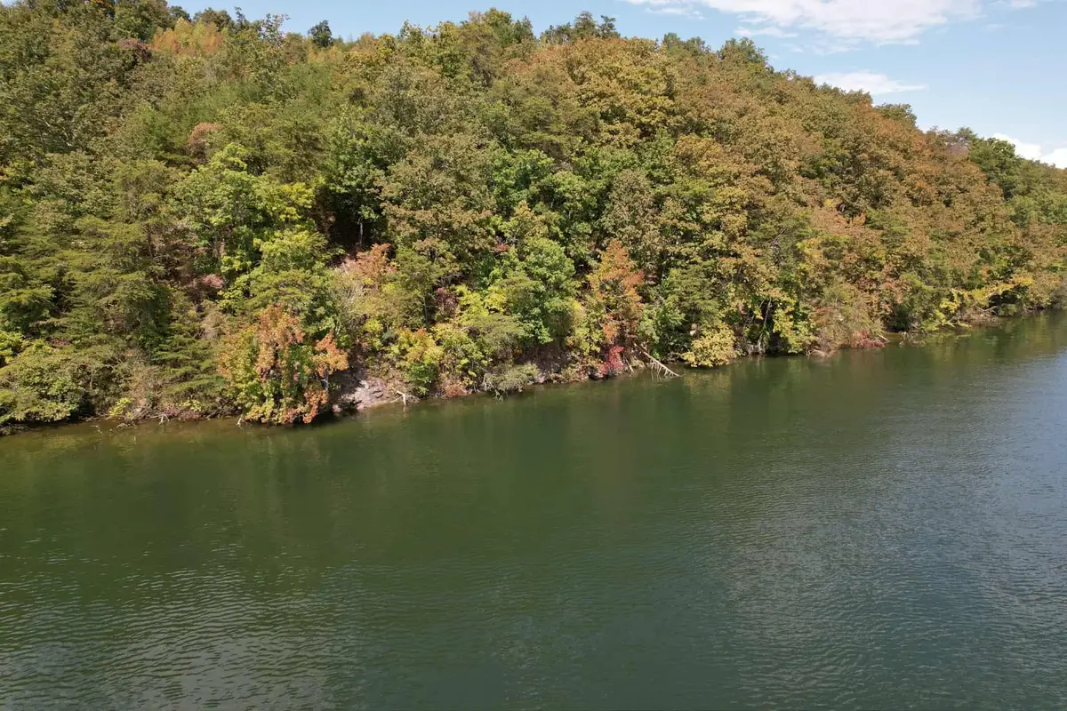 39 Waterside Way, Spring City, TN 37381 - #1