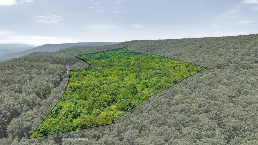 5973 Windridge Drive, Dunlap, TN 37327 - #3