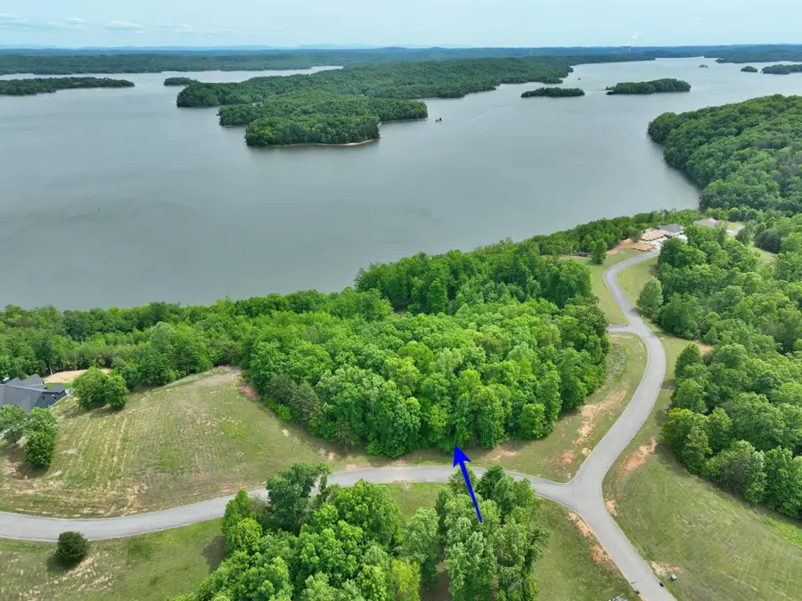 450 Hidden Forest Trail, Spring City, TN 37381 - #3