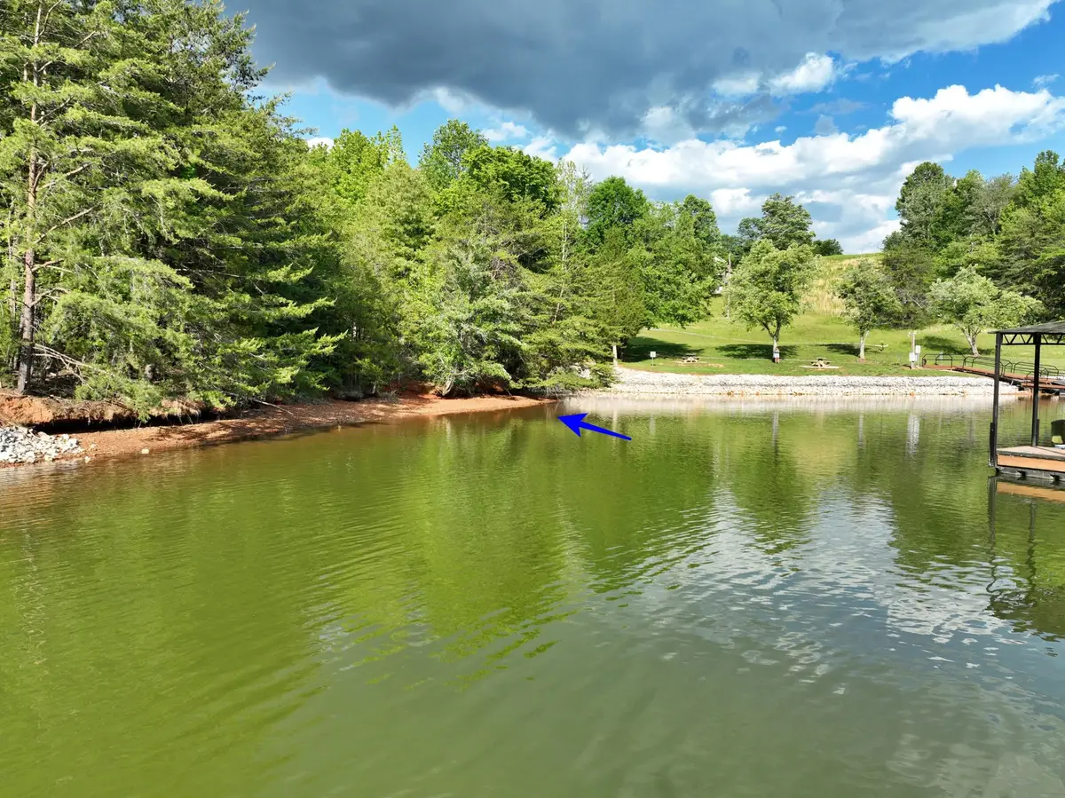 56 Blue Heron Bluff, Harriman, TN 37748 - #1