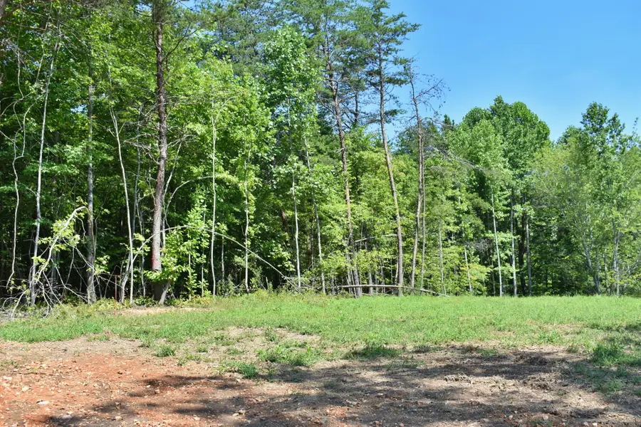 521 Norton Road, Ten Mile, TN 37880 - #2
