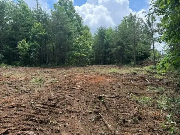 10775 S Pittsburg Mountain Road, South Pittsburg, TN 37380