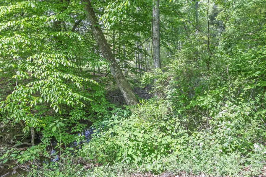 0 Summers Home Lane, Dayton, TN 37321 - #2