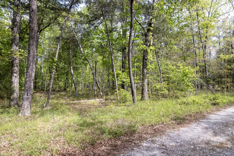 0 Summers Home Lane, Dayton, TN 37321 - #3