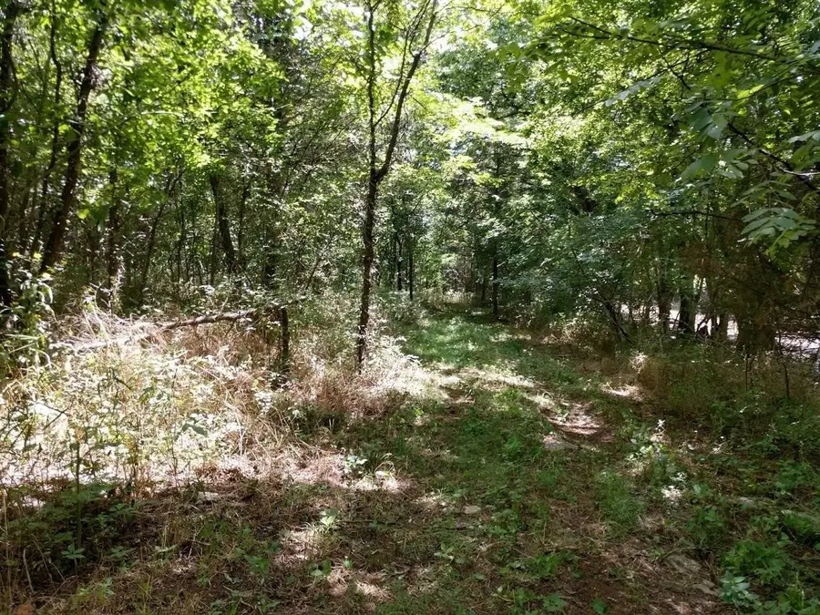 2366 Tracy Rd, Watertown, TN 37184 - #3