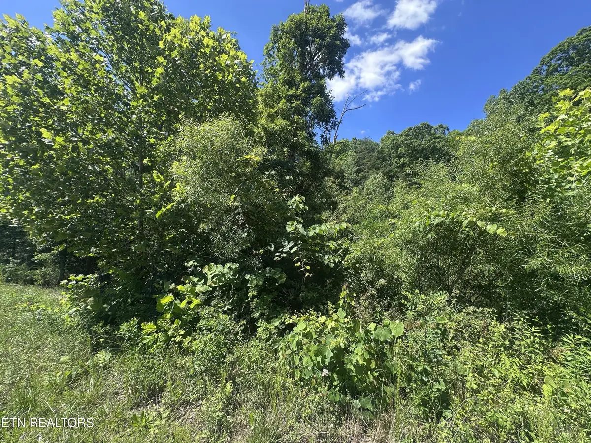 1020 Tomahawk Rd, Jamestown, TN 38556 - #1