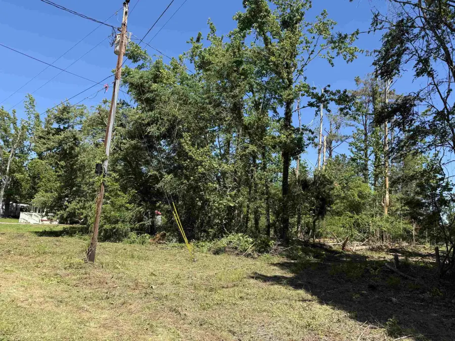 0 Clement Dr, Savannah, TN 38372 - #2