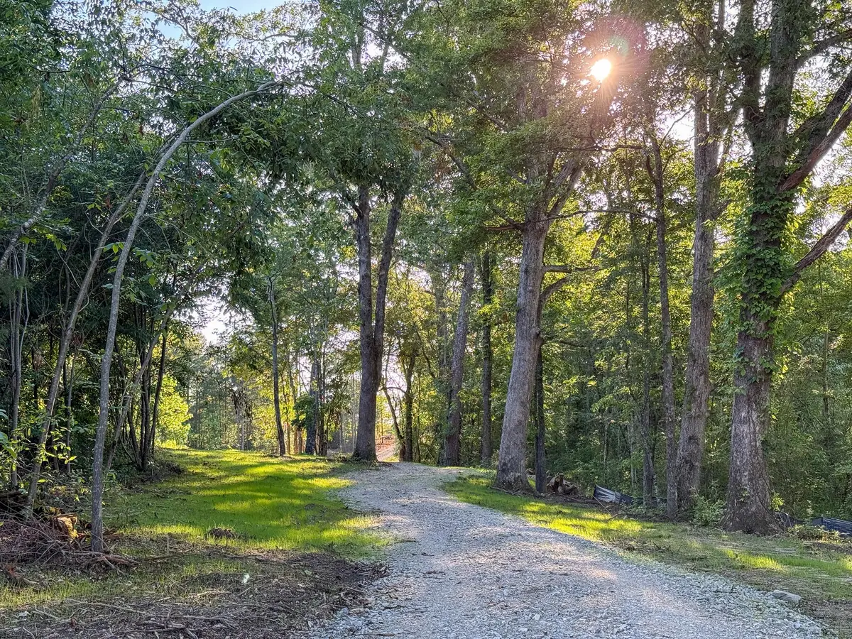0 Hwy 301, Trenton, GA 30752 - #1
