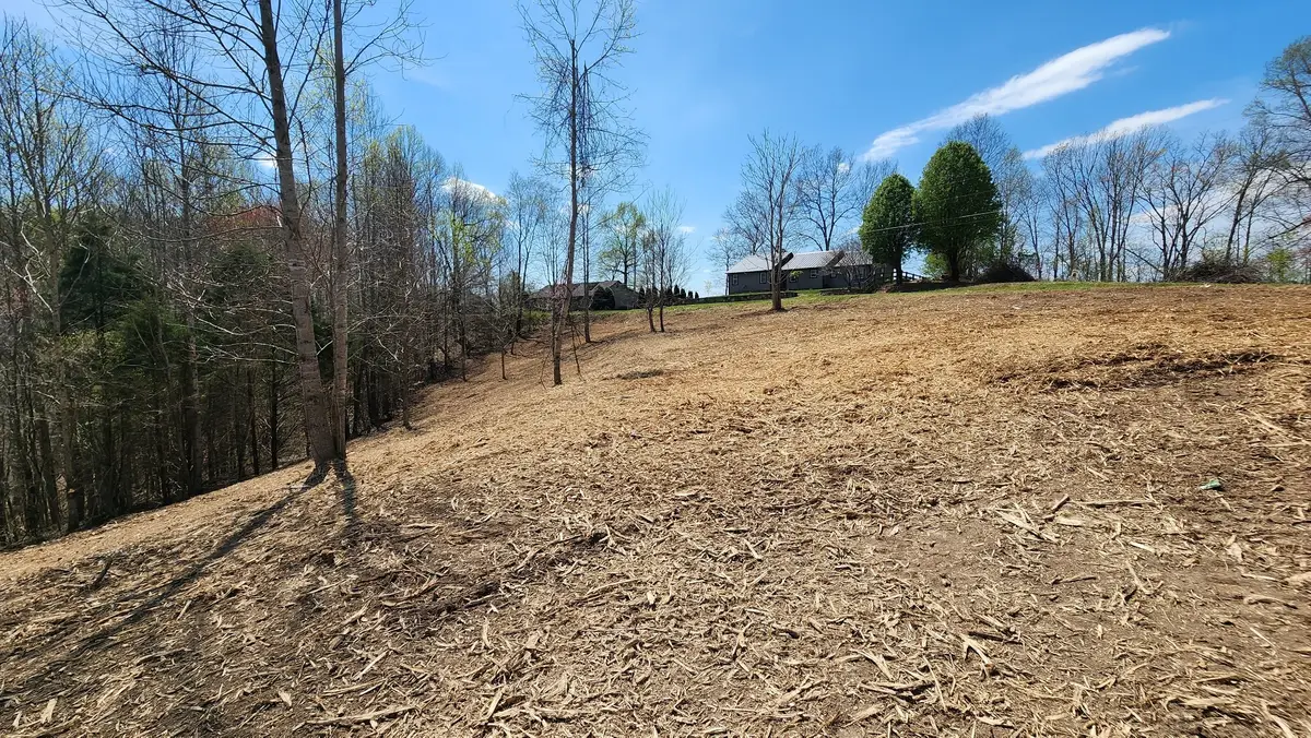 0 Opal Pt, Smithville, TN 37166 - #1