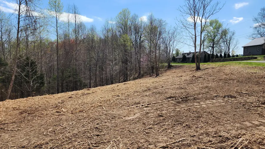 0 Opal Pt, Smithville, TN 37166 - #2