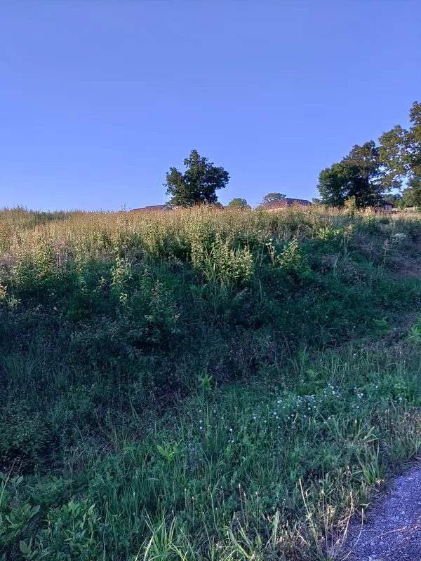 0 Collins Run, Mc Minnville, TN 37110