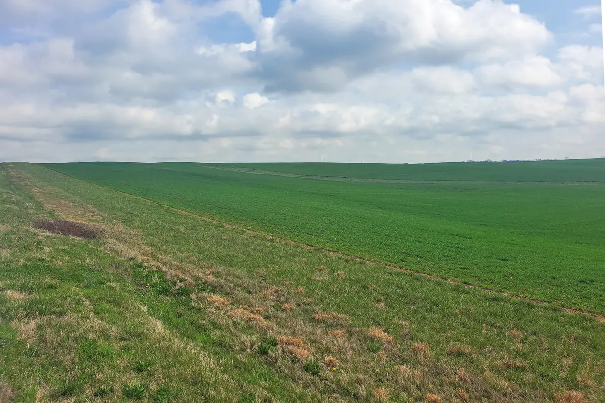 2100 Upper Prices Mill Road, Franklin, KY 42134 - #1