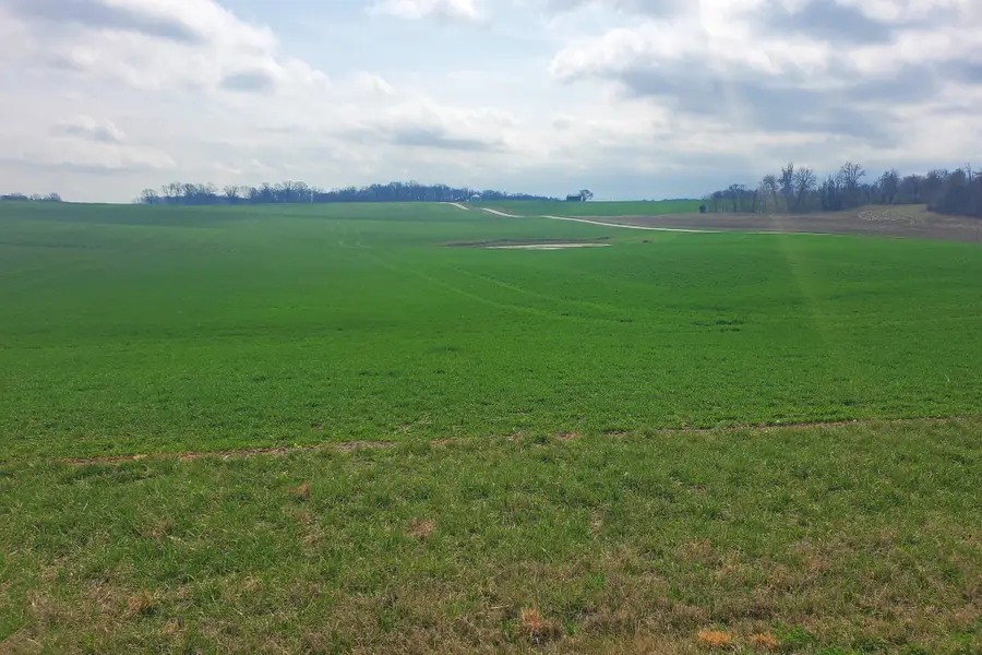 2100 Upper Prices Mill Road, Franklin, KY 42134 - #3