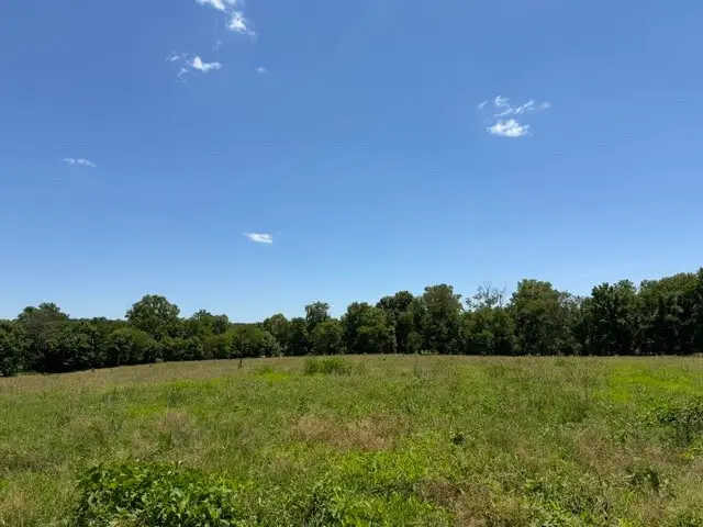 0 Delina Boonshill Rd, Petersburg, TN 37144 - #1