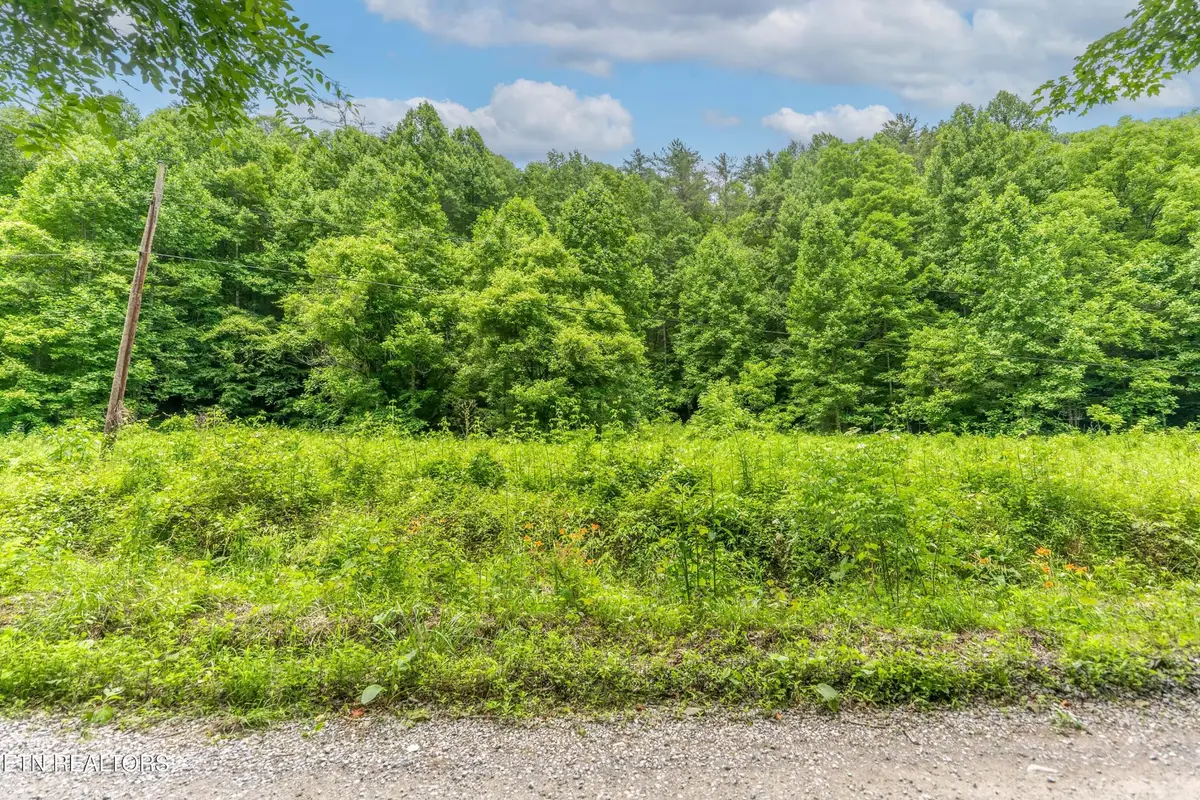 0 Johns Creek Rd, Del Rio, TN 37727 - #1
