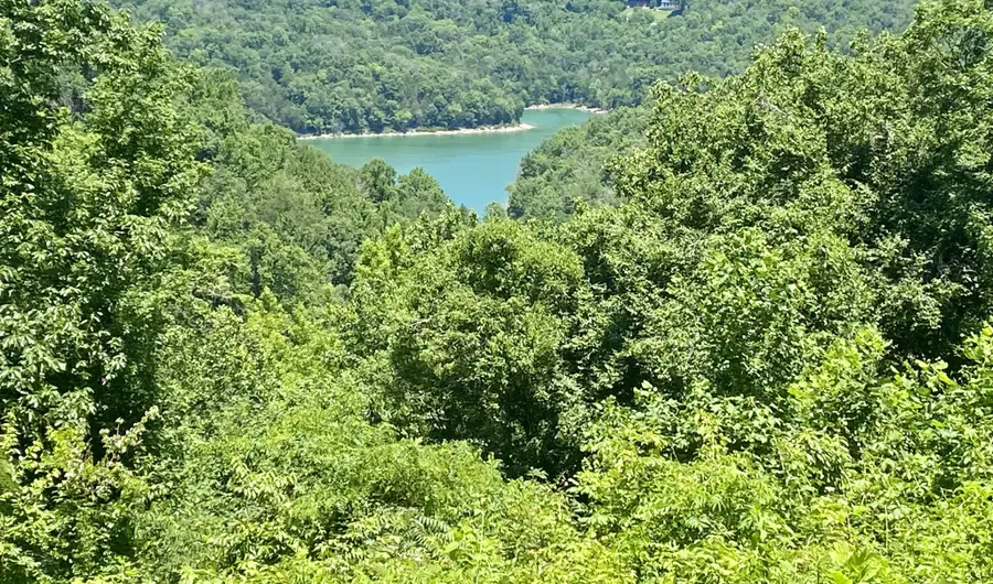 0 Dogwood Place, Smithville, TN 37166 - #3