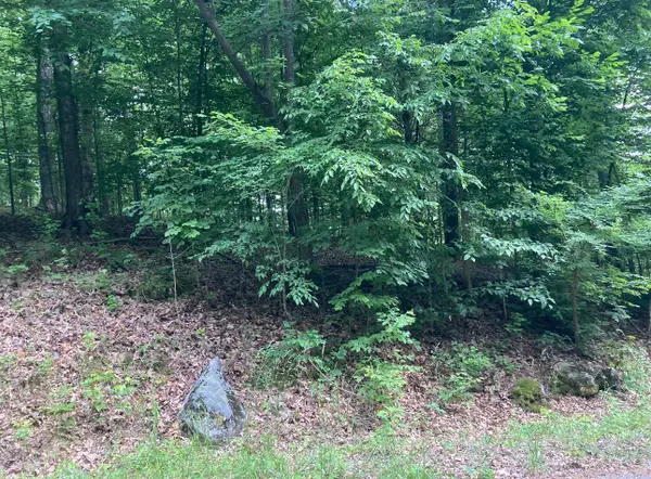 0 Briarwood Drive, Erin, TN 37061