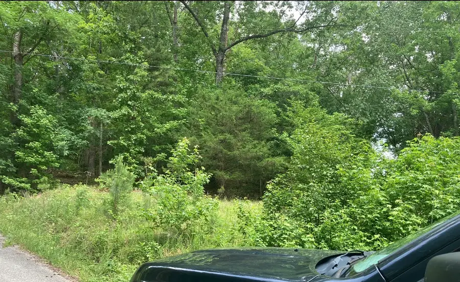 0 Briarwood Drive, Erin, TN 37061 - #2