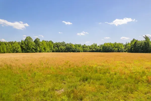 2800 Plainview Road, Henderson, TN 38340