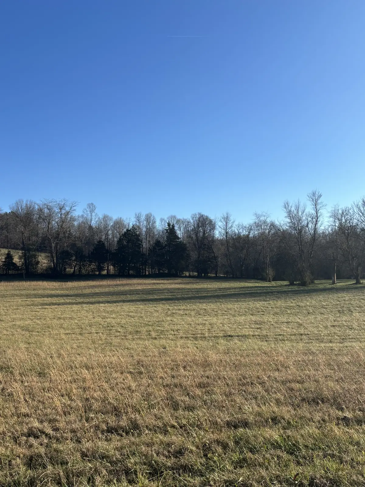 0 Highway 70 E, Waverly, TN 37185 - #1