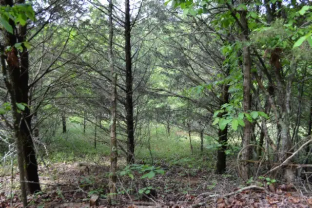 0 Circle Road, Burkesville, KY 42717 - #1