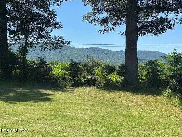 194 Patton Lane, Pikeville, TN 37367 - #3