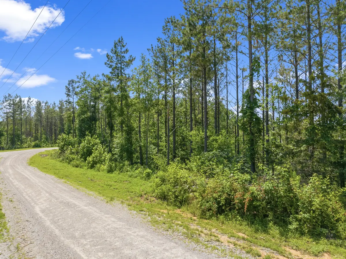 310 Highland Dr, Linden, TN 37096 - #1