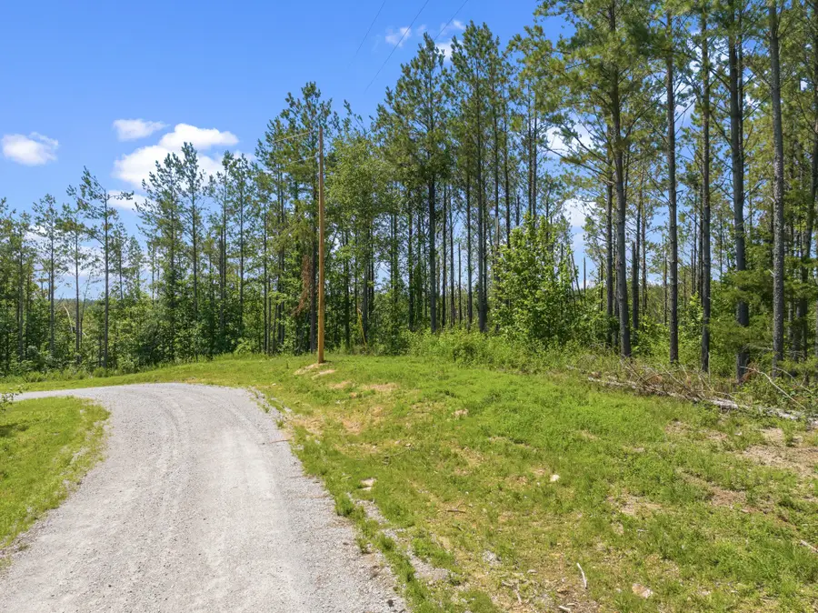 310 Highland Dr, Linden, TN 37096 - #3