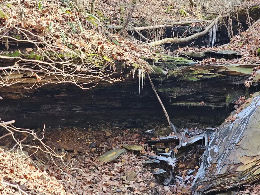 0 Davis Hollow Rd, Franklin, TN 37064 - #2