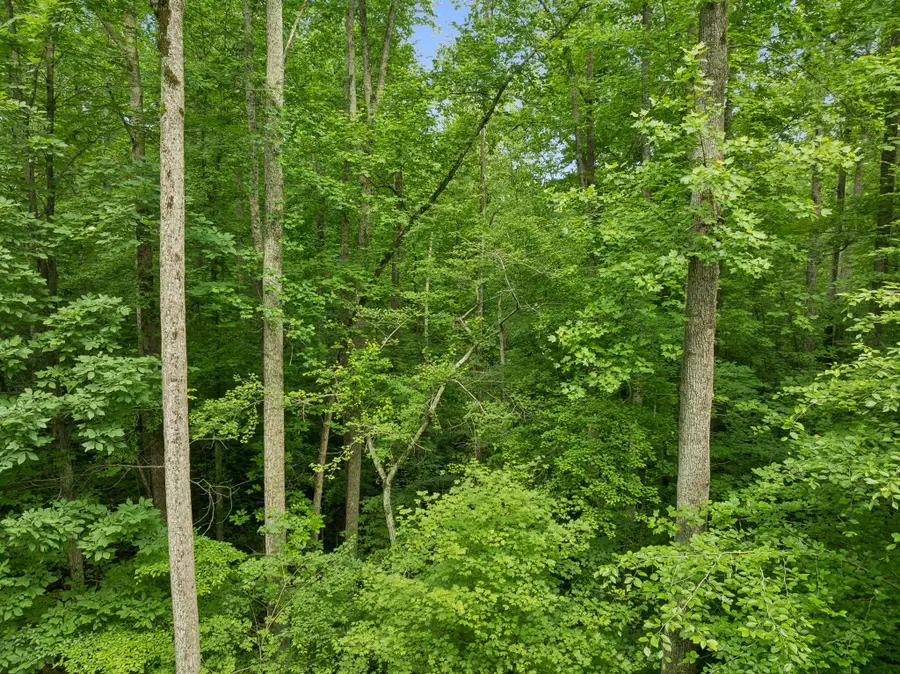 0 Davis Hollow Rd, Franklin, TN 37064 - #3