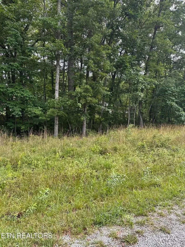 2020 Piute Rd, Crossville, TN 38572 - #1