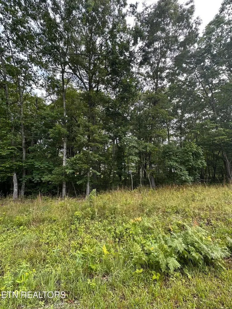 2020 Piute Rd, Crossville, TN 38572 - #2