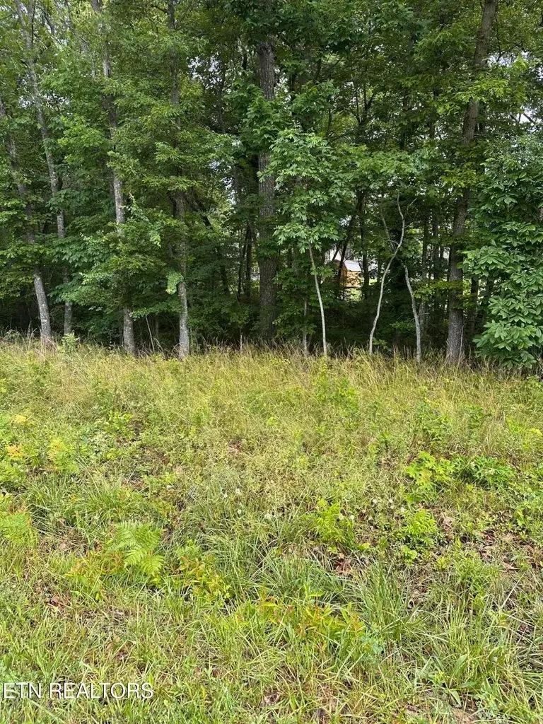 2020 Piute Rd, Crossville, TN 38572 - #3