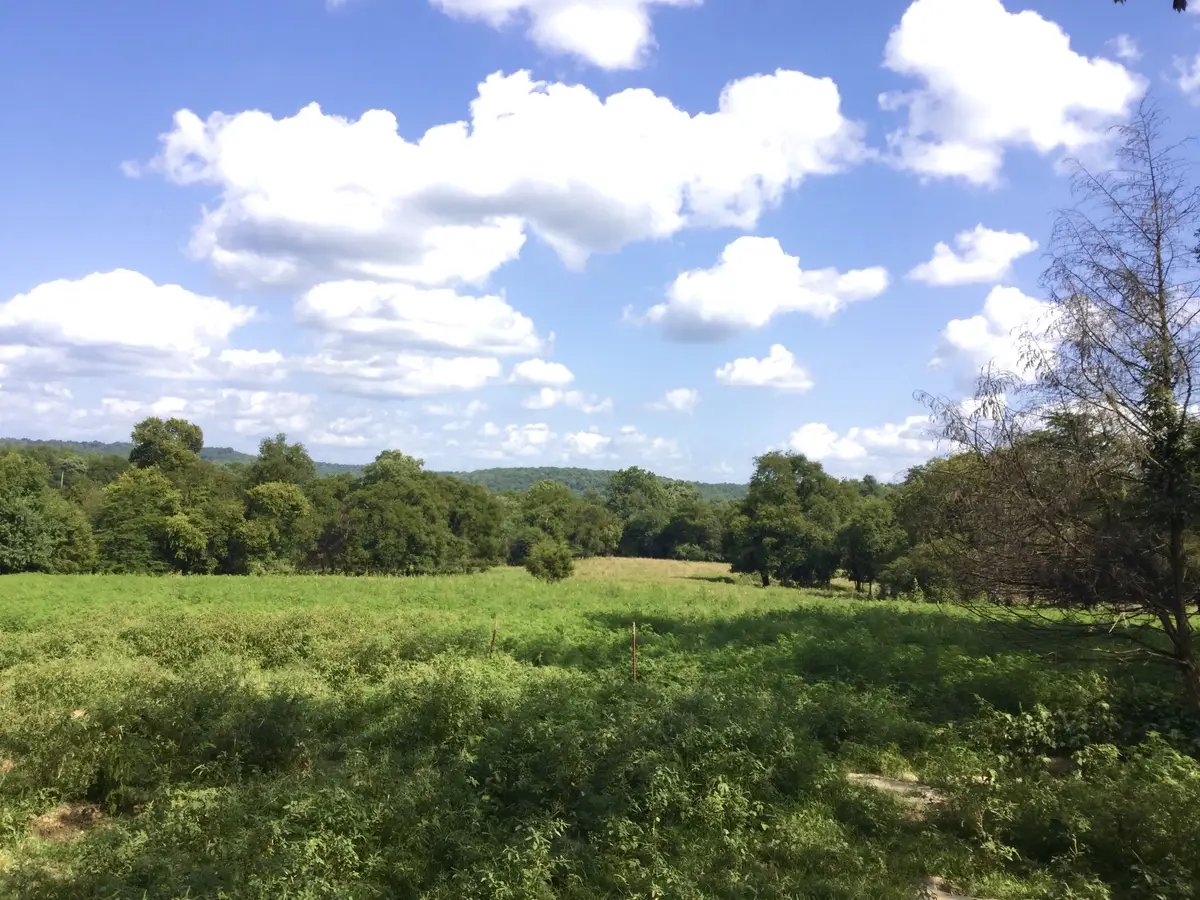 328 Wabash Road, Lynchburg, TN 37352 - #1