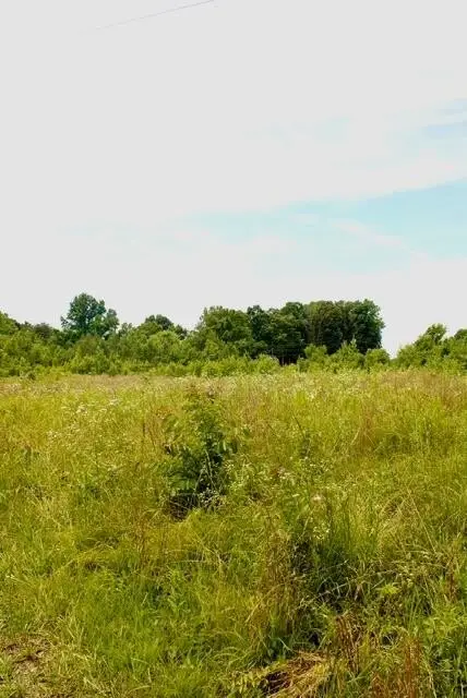 482 Friendship Lane, Delano, TN 37325
