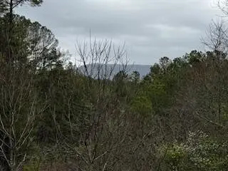 851 Stansbury Mountain Road, Copperhill, TN 37317 - #3