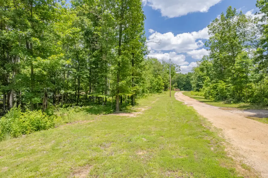 6126 Calvin Potts Rd, Primm Springs, TN 38476 - #3