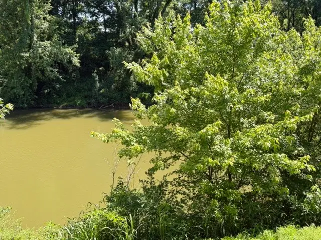 1101 W Jackson St, Shelbyville, TN 37160 - #3