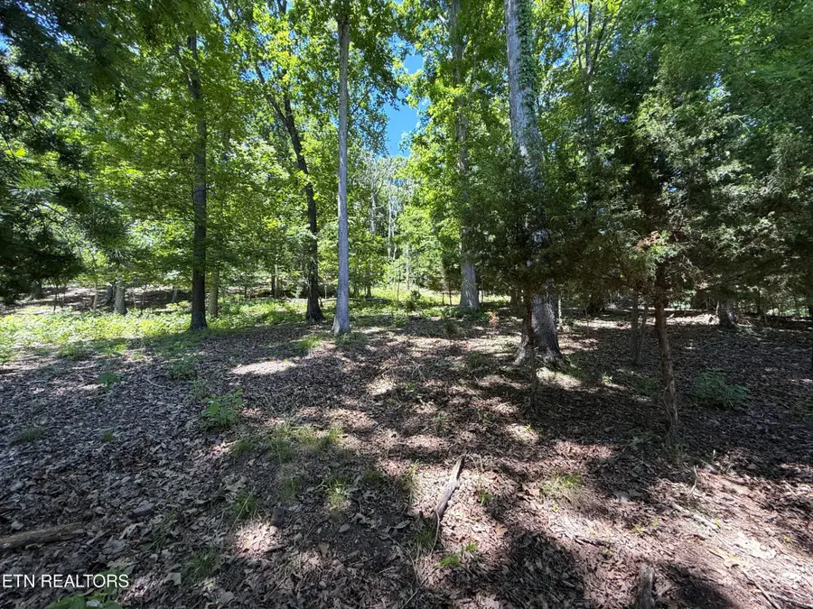 0 Harbor View, Mooresburg, TN 37811 - #2