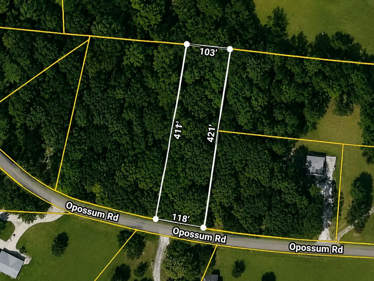 291 Opossum Rd, Portland, TN 37148 - #1